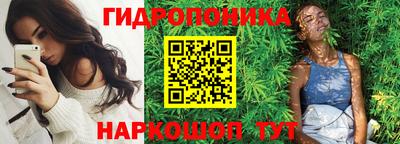 стаф Нальчик