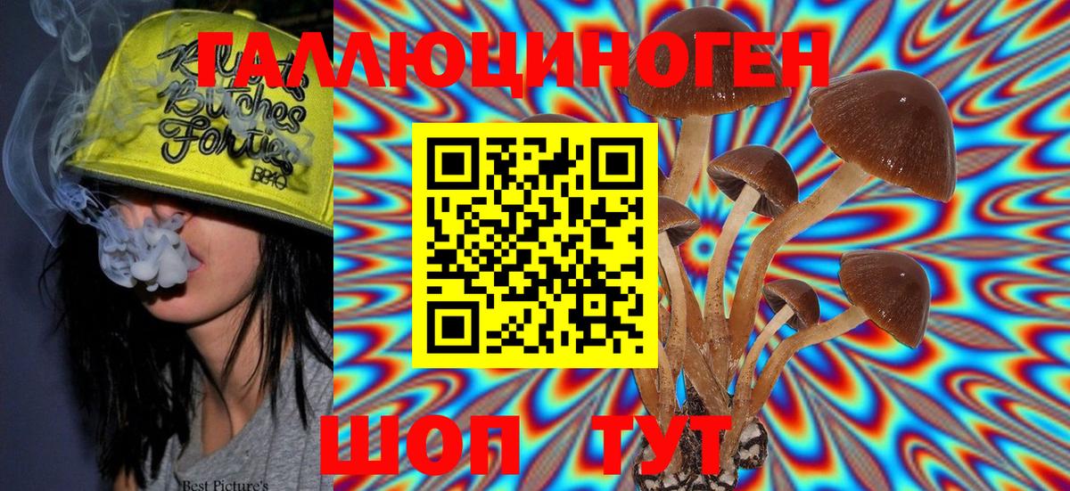 Галлюциногенные грибы GOLDEN TEACHER  Вход с VPN  Галлюциногенные грибы Magic Shrooms  Ефремов 