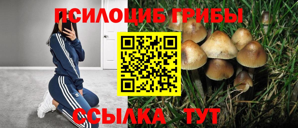 Галлюциногенные грибы MAGIC MUSHROOMS Ефремов